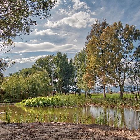 La Illeta Villa Deltebre Dış mekan fotoğraf