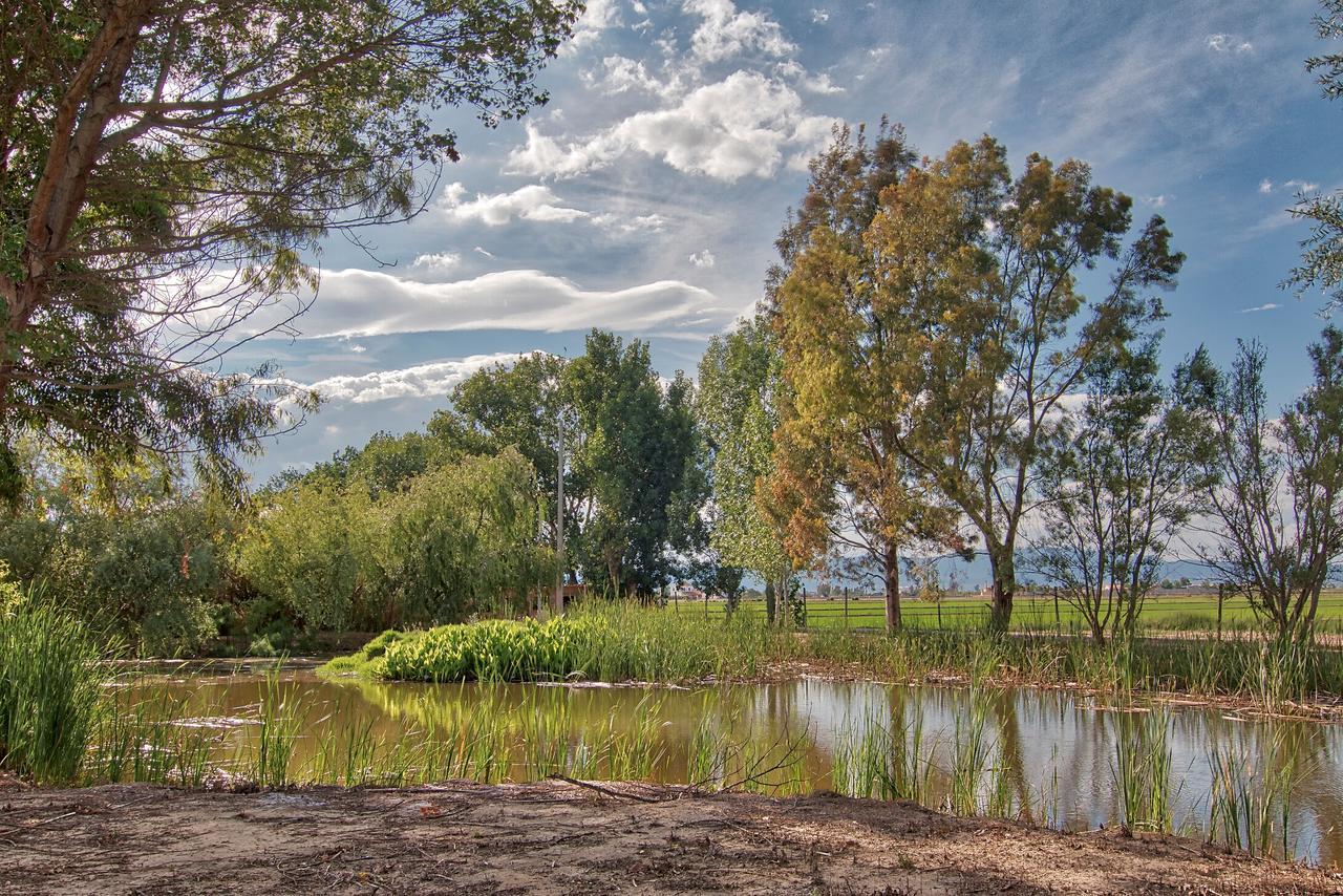 La Illeta Villa Deltebre Dış mekan fotoğraf