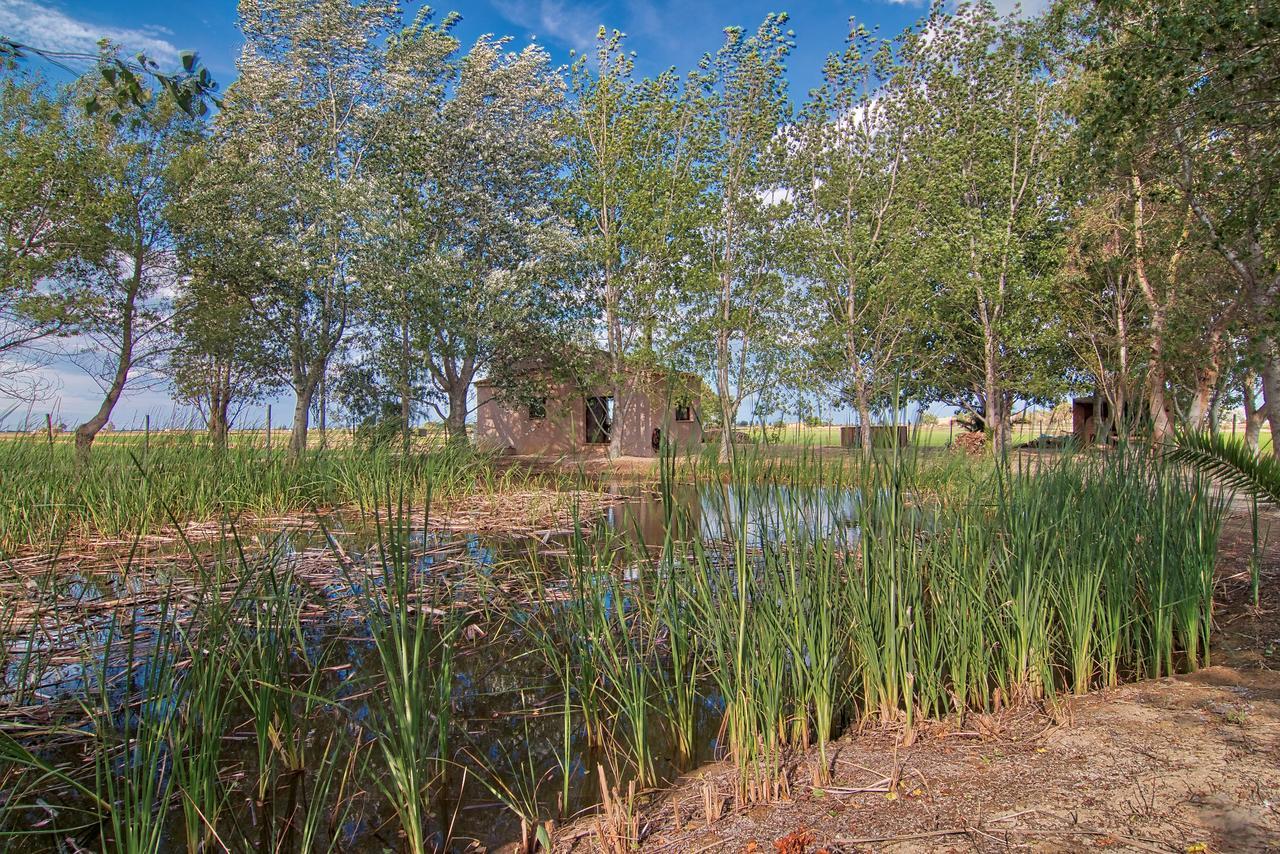 La Illeta Villa Deltebre Dış mekan fotoğraf