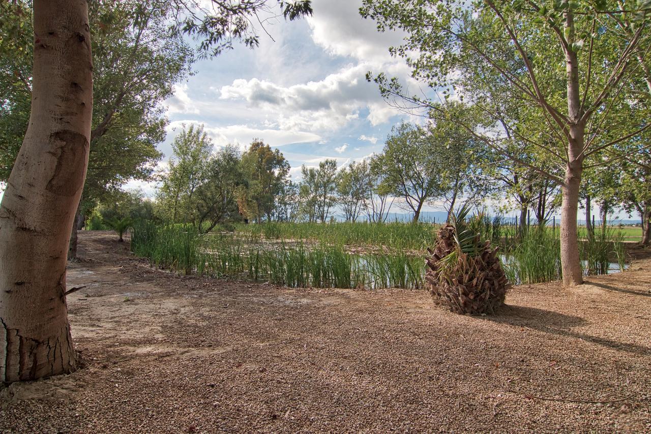 La Illeta Villa Deltebre Dış mekan fotoğraf